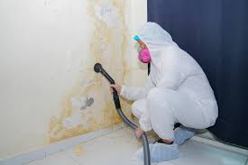 Best Residential Mold Inspection & Testing  in Pike Creek, DE